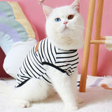 Noffamex™|Summer Cat Clothes Classic Stripes