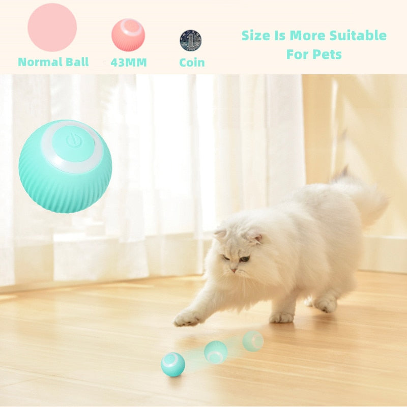 Noffamex™|Electric Cat Ball Toys